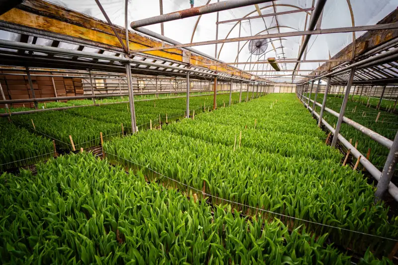 企业门禁系统选型要点与弱电工程施工规范分析