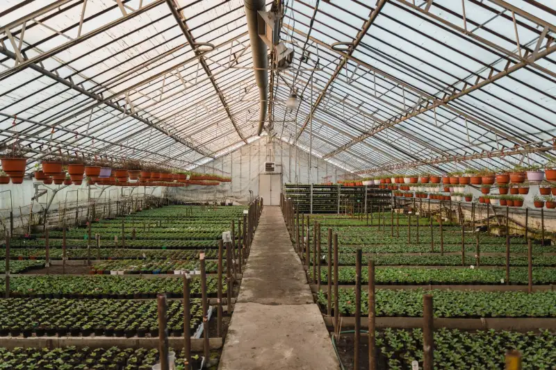 长沙弱电工程中综合布线系统的标准化施工要点解析封面图
